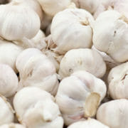 Many garlic cloves, which are sometimes fed to horses