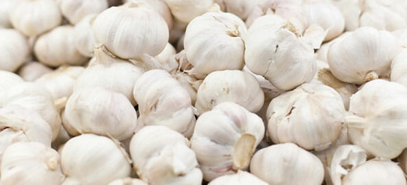 Many garlic cloves, which are sometimes fed to horses