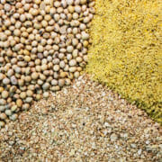 shutterstock_153790424 A variety of grains and horse feed ingredients