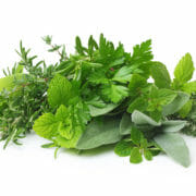 Fresh spices and herbs isolated An image of many different green herbs together, which can potentially be included in a horse's diet