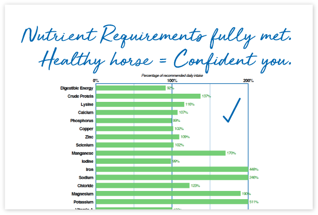 How-will-FeedXL-Help_cards_#1