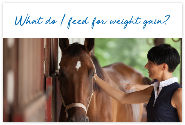 How-will-FeedXL-Help_cards_#11