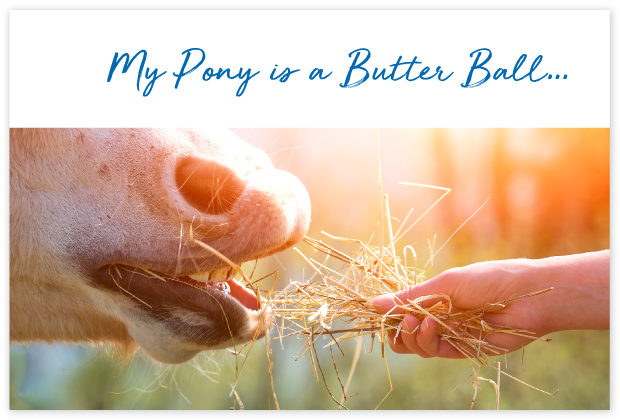 How-will-FeedXL-Help_cards_#12