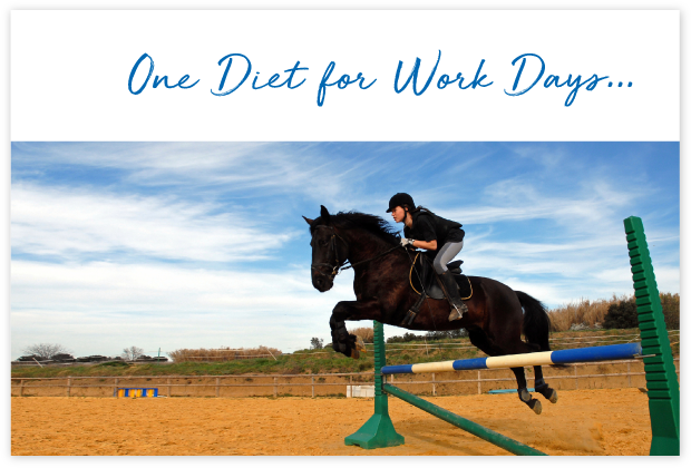 How-will-FeedXL-Help_cards_#2A