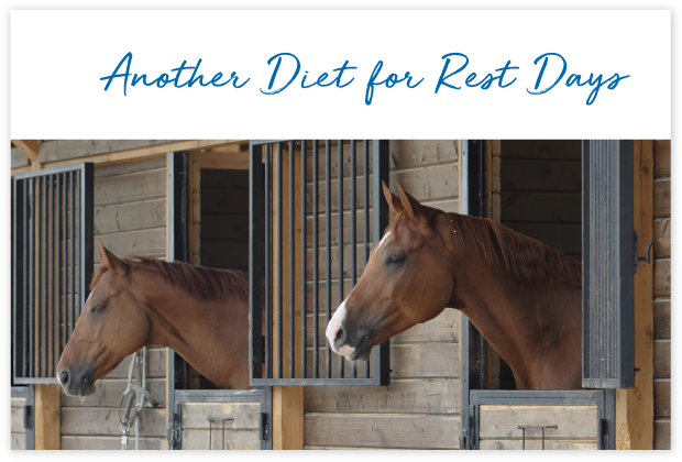 How-will-FeedXL-Help_cards_#2B