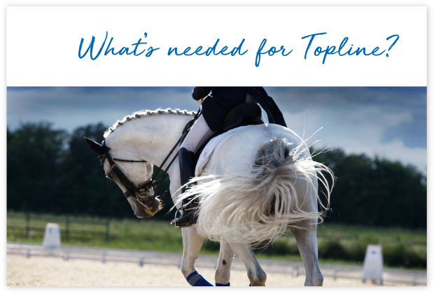 How-will-FeedXL-Help_cards_#3