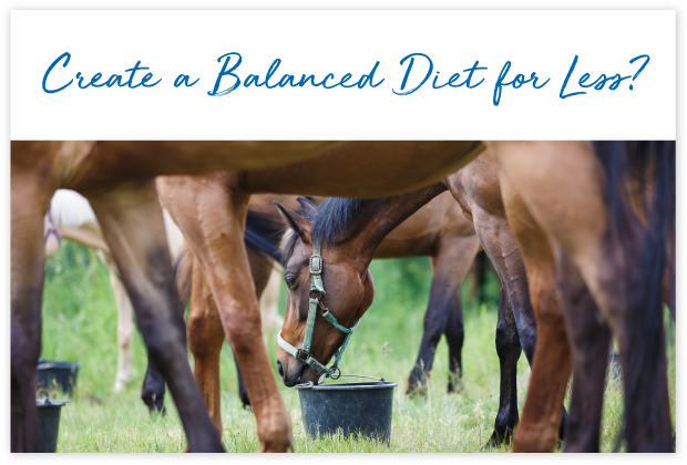 How-will-FeedXL-Help_cards_#6