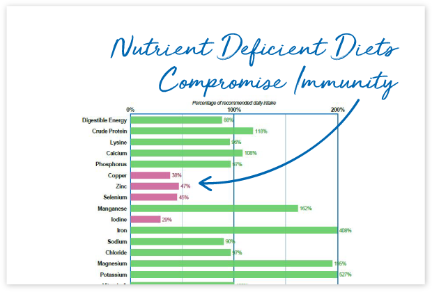 How-will-FeedXL-Help_cards_#9