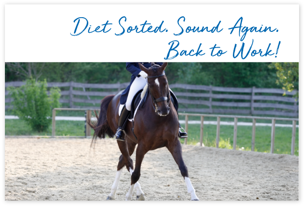 Tools-Page_cards_#8C