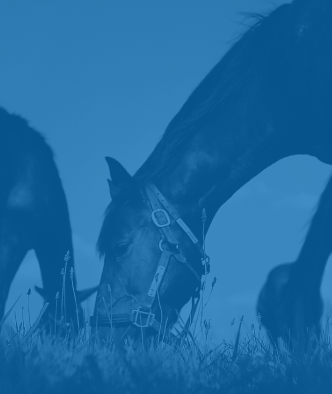 Adjusting For My Hay + Pasture