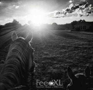 Hunter-Glisson-Warner_B&W332