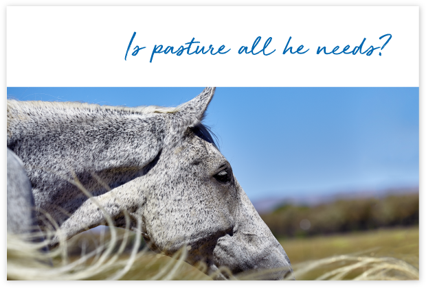 Who-uses-FeedXL-page_cards#10