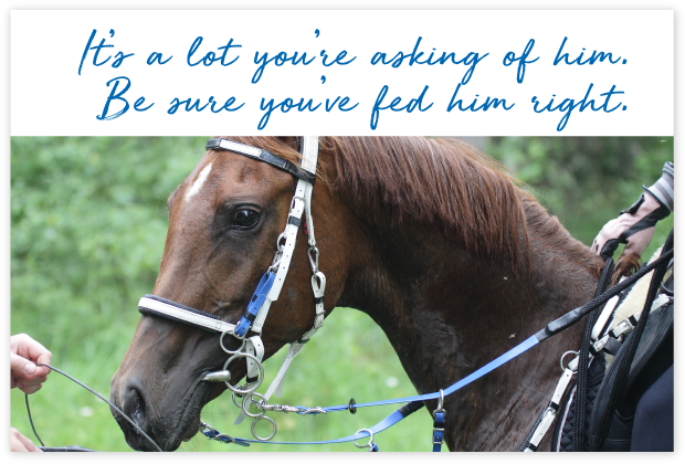 Who-uses-FeedXL-page_cards#5