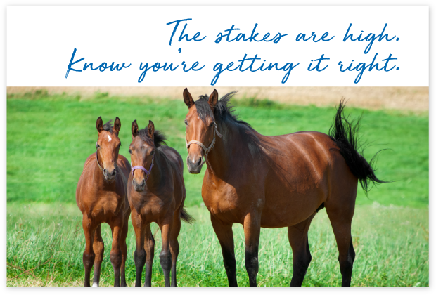 Who-uses-FeedXL-page_cards#7