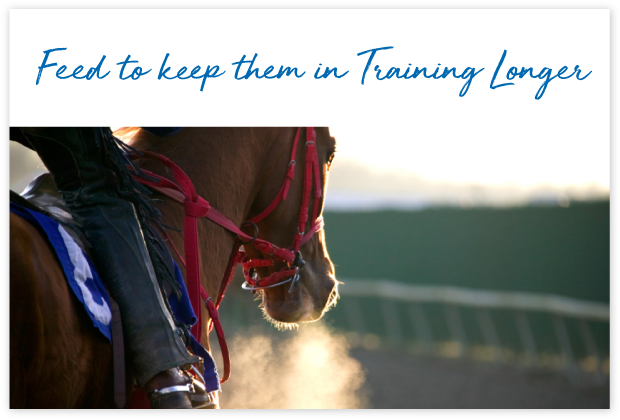 Who-uses-FeedXL-page_cards#8