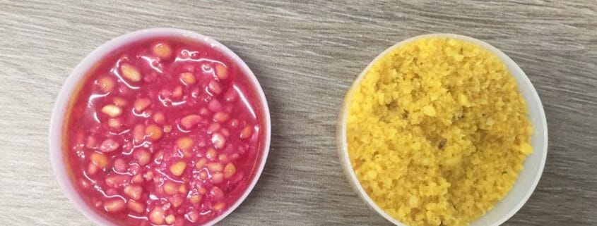 An image of two types of soybeans tested for trypsin inhibitors, the left is red indicating the presence of trypsin inhibitors and the right is yellow, indicating that it is safe for horses