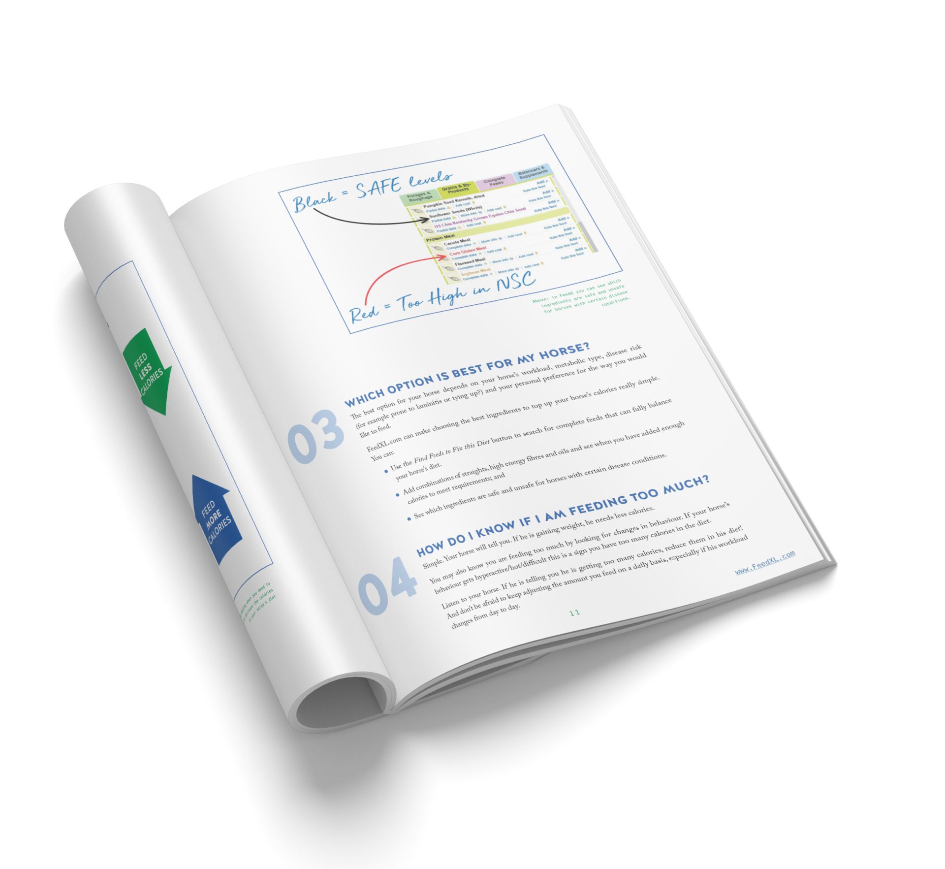 Simple Diets Ebook pp10-11