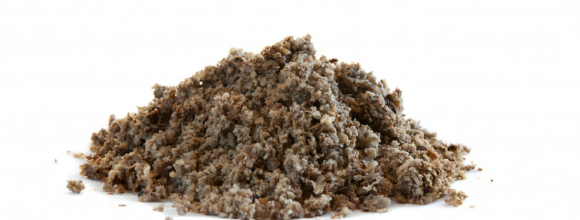 Beet pulp is a great source of fiber for horses