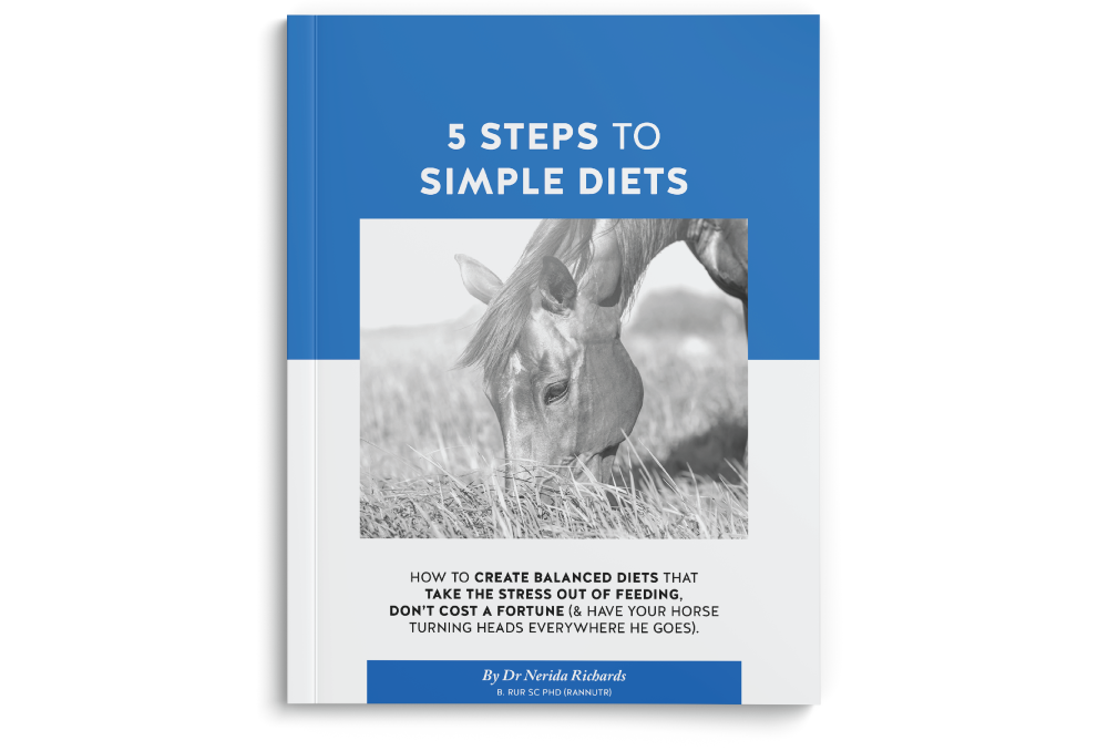 Book-5-steps-pdf