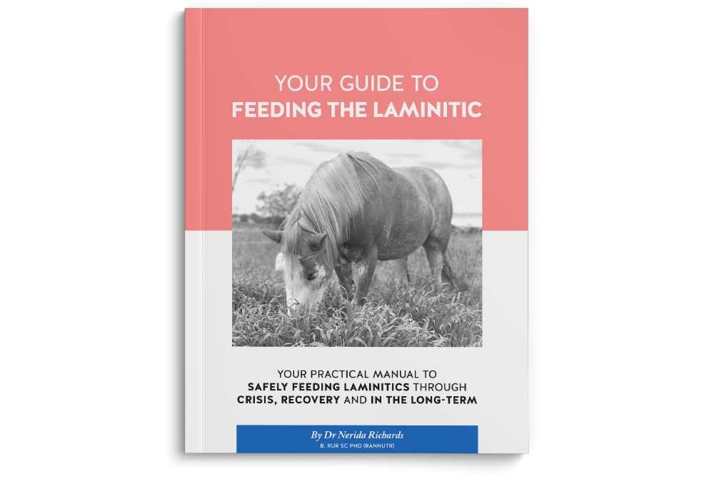 Book-feeding-PDF