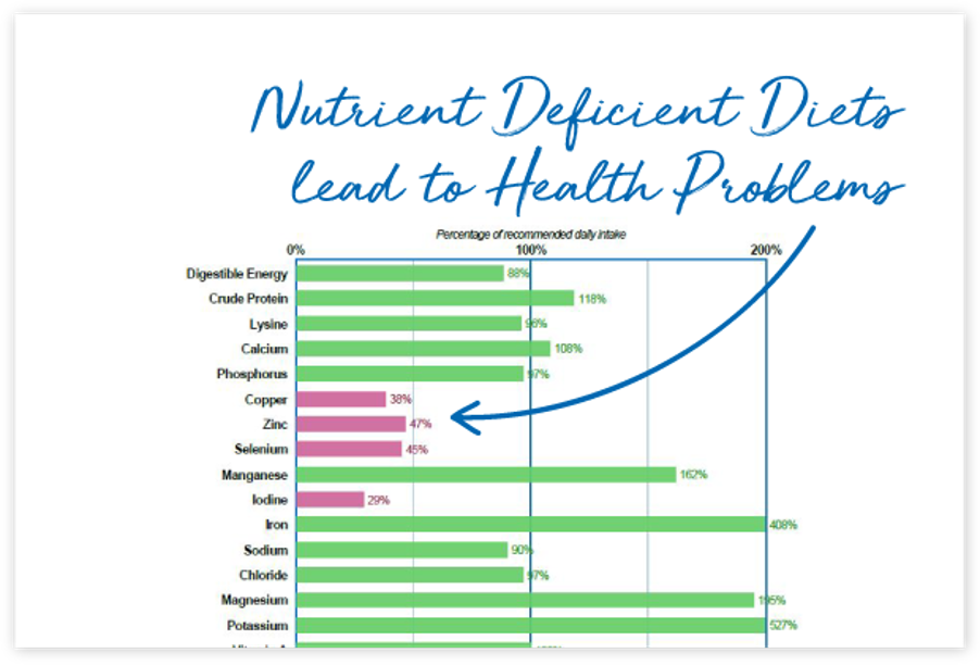 Nutrient deficient diets health problems
