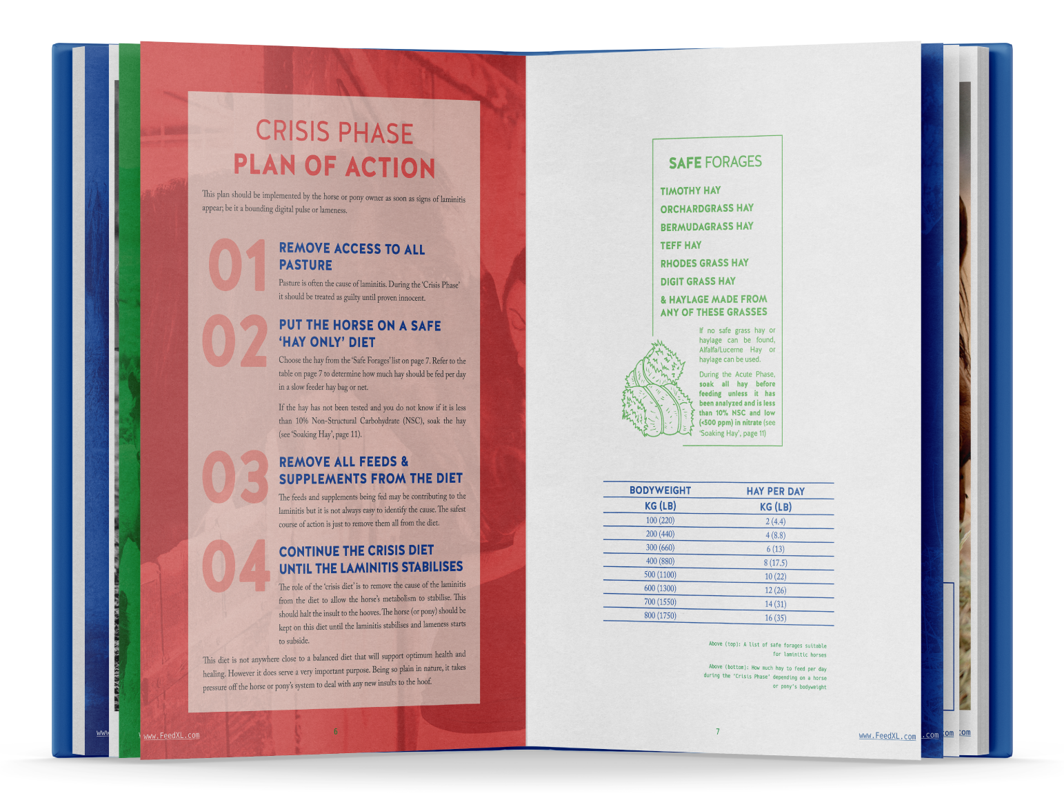 p6-7_Book-Open-Mockup_A-Vets-Guide-to-Feeding-the-Laminitic_FeedXL_E-book_Nov19_smaller