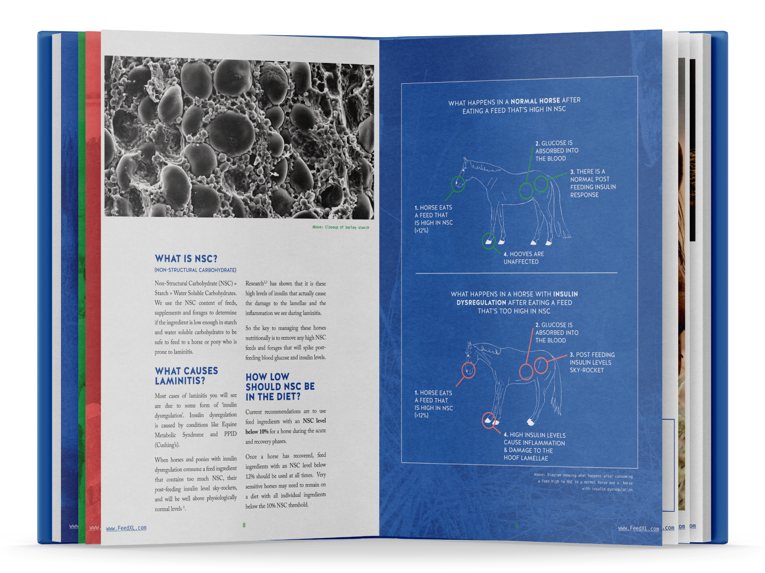 p8-9_Book-Open-Mockup_A-Vets-Guide-to-Feeding-the-Laminitic_FeedXL_E-book_Nov19_smaller