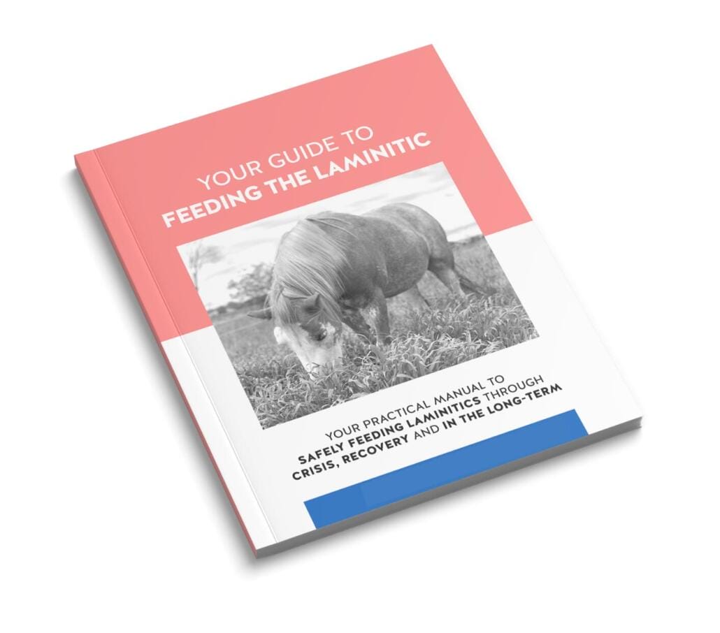 laminitic-ebook-cover-crop Ebook cover mockup - Feed XL - Guide to Laminitic horses