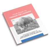 laminitic-ebook-cover-crop Ebook cover mockup - Feed XL - Guide to Laminitic horses