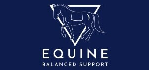 EBS Logo Blue Background EBS Logo on a blue background